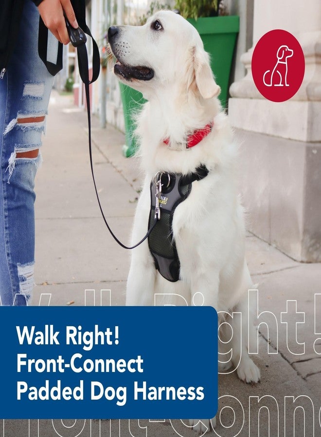Coastal Pet Walk Right Front-Connect No-Pull Padded Dog Harness - Adjustable & Comfortable Dog Harness - Small & Large Breed Fit - Quality Pet Supplies - Black, LRG (26"-38") - Image 3